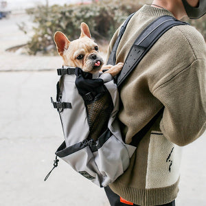 Discover the Ultimate Portable Pet Carrier Backpack
