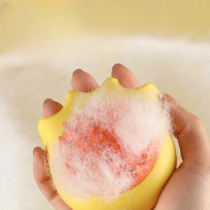 Why Your Pet Deserves the Best Bath Experience