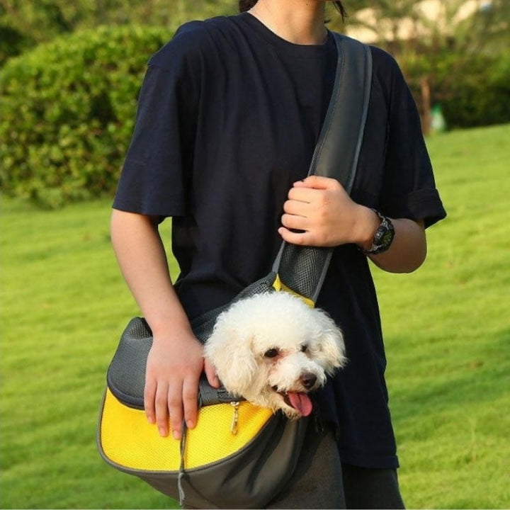 The Ultimate Pet Carrier for Adventurous Pet Owners