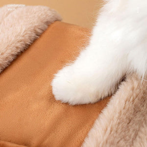 Discover the Ultimate Winter Companion for Your Furry Friend
