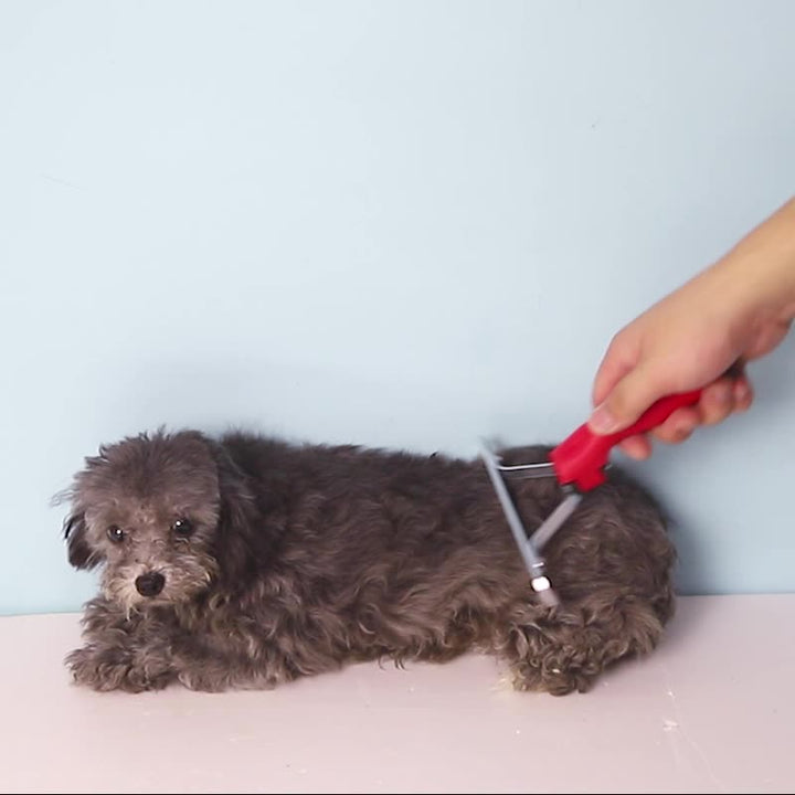 Transform Your Pet's Grooming Routine with the Extra Large Deshedding Rake Grooming Comb