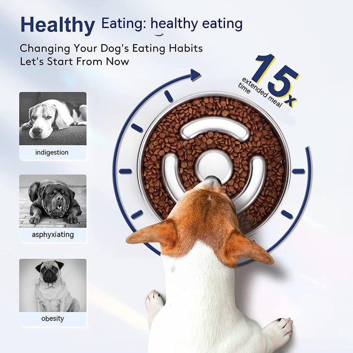The Ultimate Slow Feeding Pet Bowl: A Must-Have for Your Furry Friend