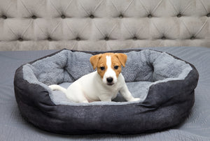 Choosing The Perfect Pet Bed