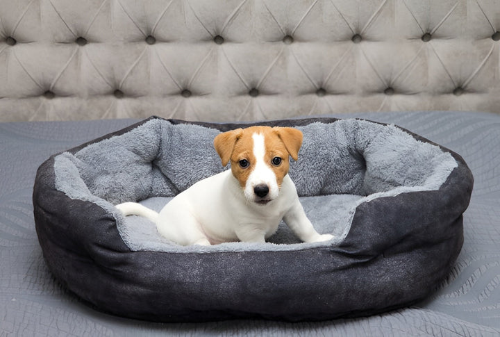Choosing The Perfect Pet Bed